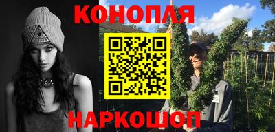 стаф Будённовск