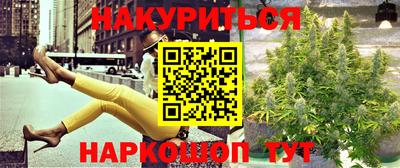 стаф Будённовск