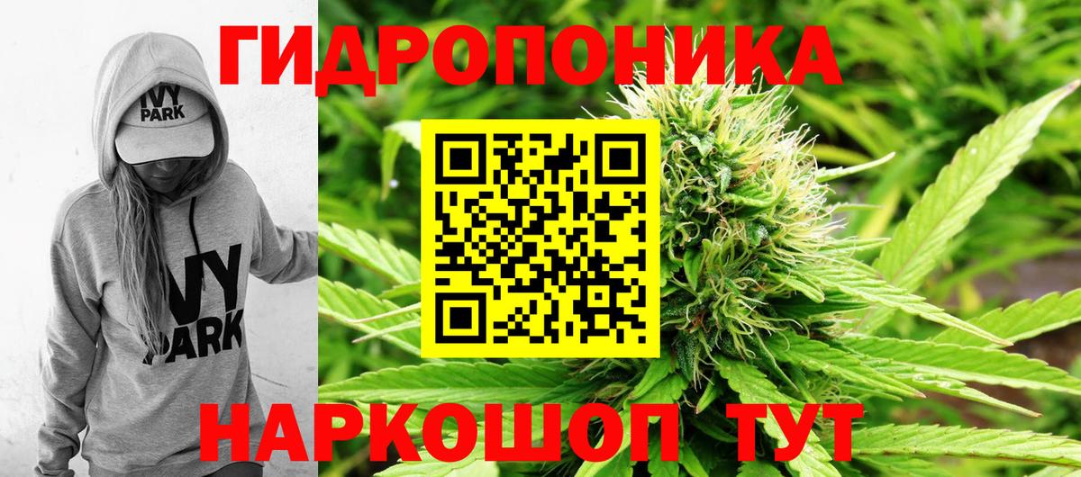 Канабис марихуана  Канабис Ganja  Канабис план  Вход с VPN  Ставрополь 